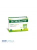 Enterolactis - 12Flaconi 10ml